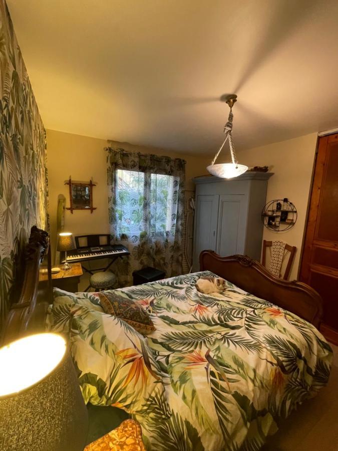 Appartamento Duud Castanet-Tolosan Esterno foto